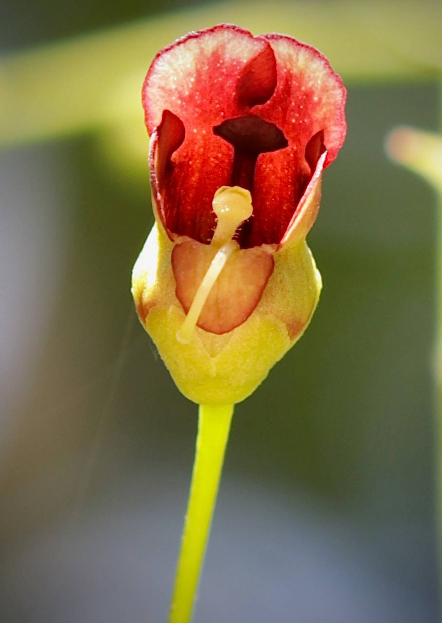 Photo of Carpenter's Square