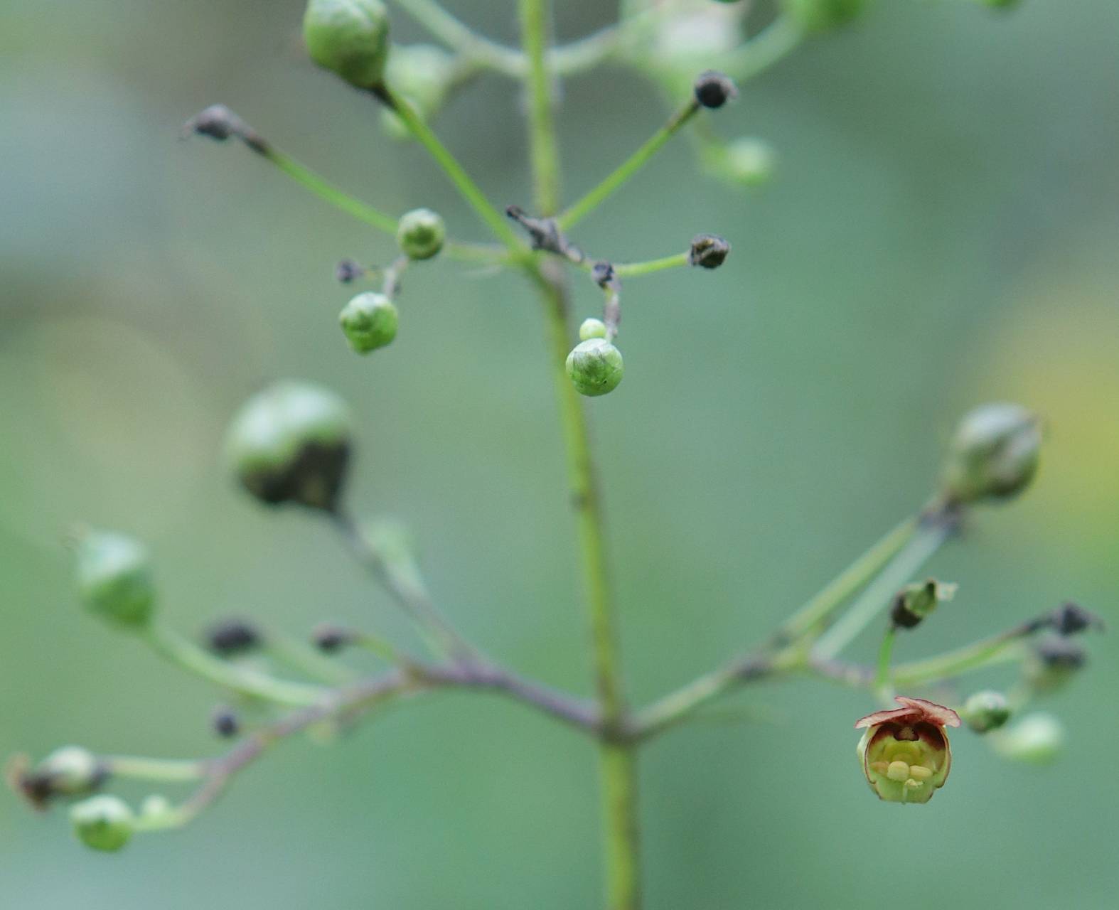 Photo of Carpenter's Square