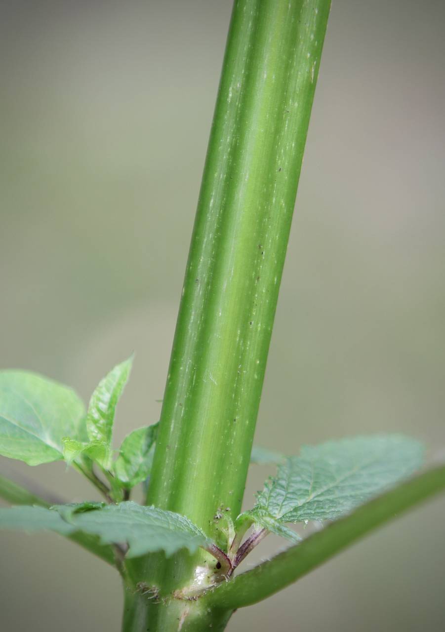 Photo of Carpenter's Square
